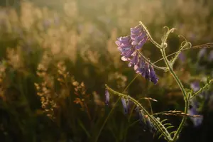 5 Reasons the Thing You’re Avoiding Is the Most Important Thing to Do