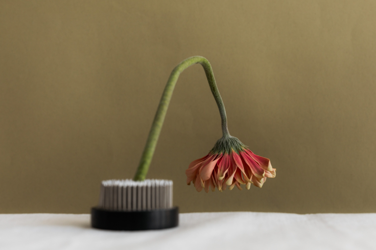 The Flower of Love Soon Fades but the Power of Art is Eternal!