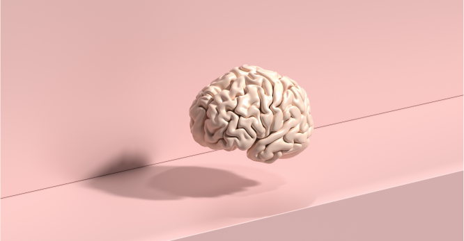 gifts-for-psychology-majors.png