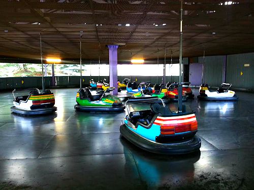 Bumper Cars Calaway Park