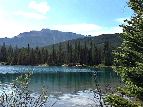 Forgetmenot Pond