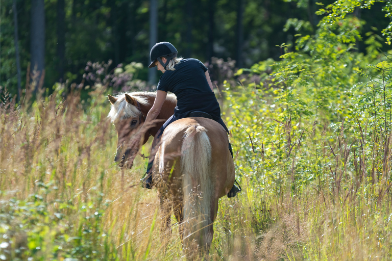 horseback-riding.png