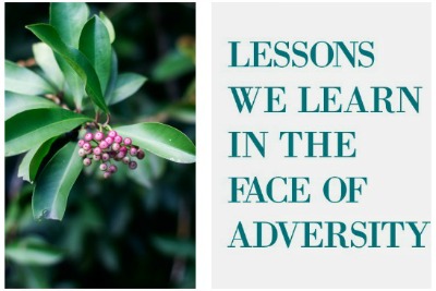 Lessons We Learn In the Face of Adversity