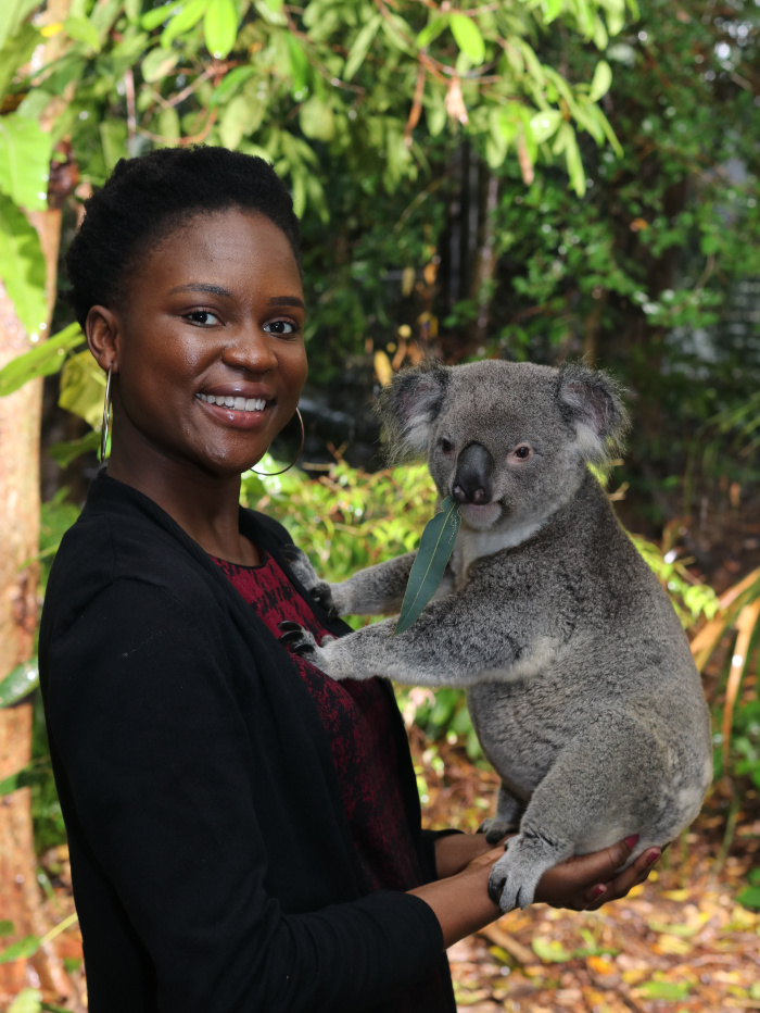 Lone Pine Koala Sanctuary - Hold a Koala Opportunity