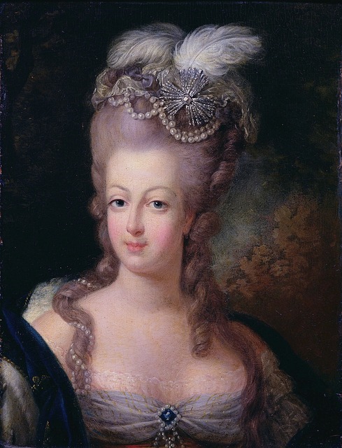 Queen Marie Antoinette of France: Cake, Her Children and her death - explained.