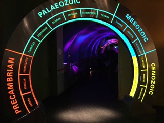 Colourful Tunnel At Royal Tyrrell Museum