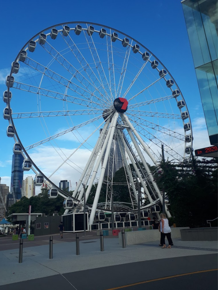 Things To Do In Brisbane Lone Pine Wheel Of Brisbane Goma Etc