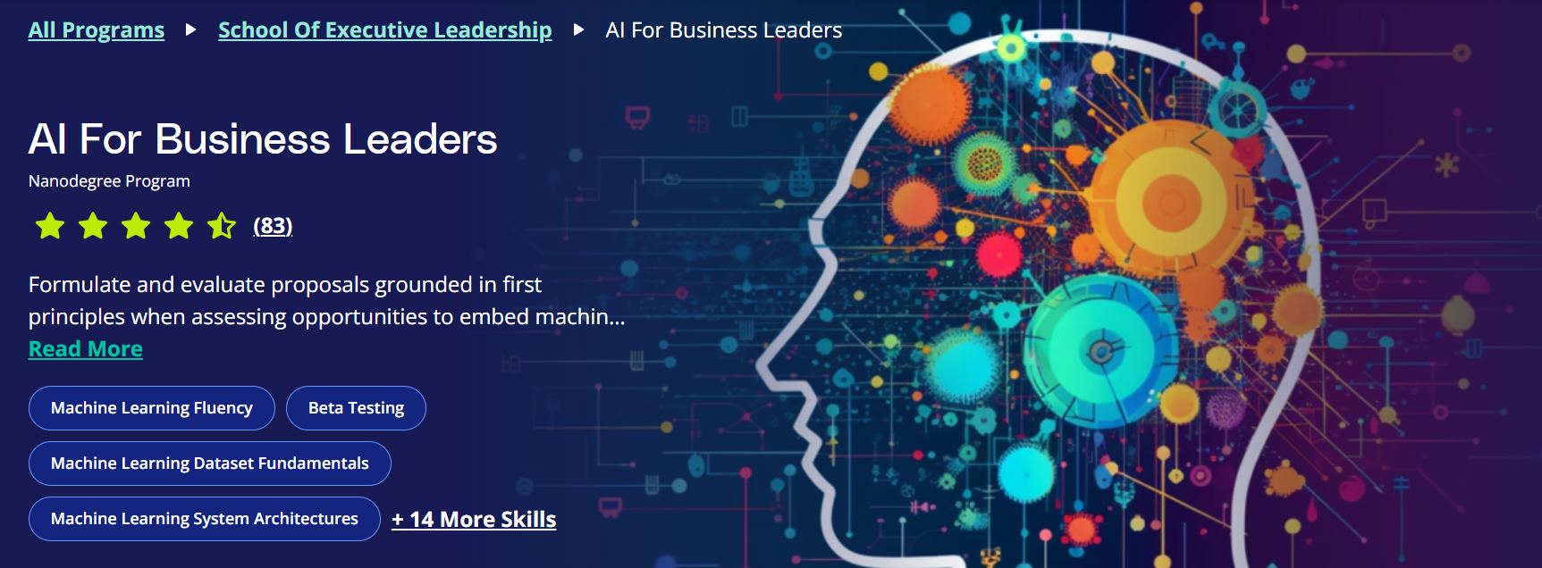 AI For Business Leaders (Udacity)