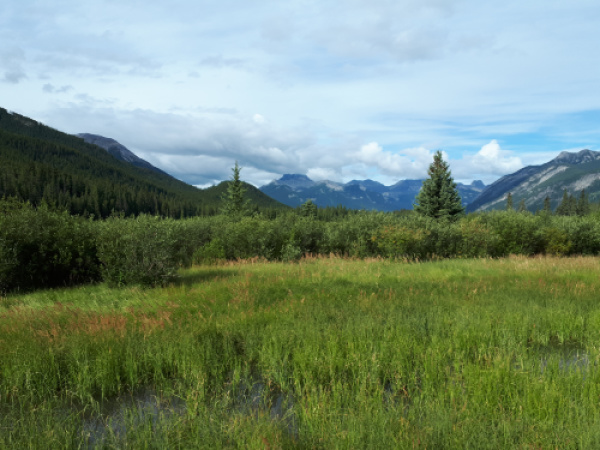 Stunning Scenery on the Bow River Ride