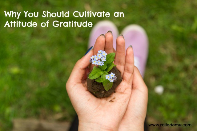 Always Cultivate an Attitude of Gratitude - good reasons to
