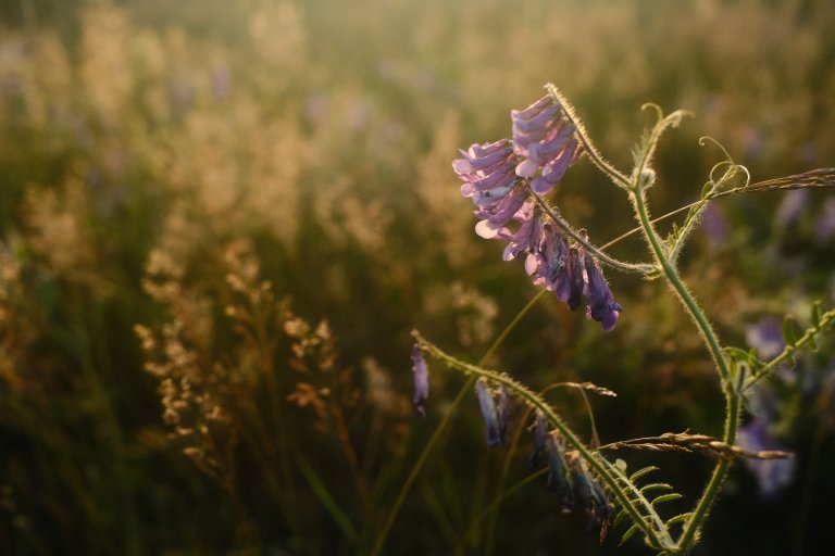 4 Reasons the Thing You’re Avoiding Is the Most Important Thing to Do