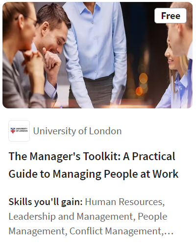 The Manager's Toolkit: A Practical Guide to Managing People at Work