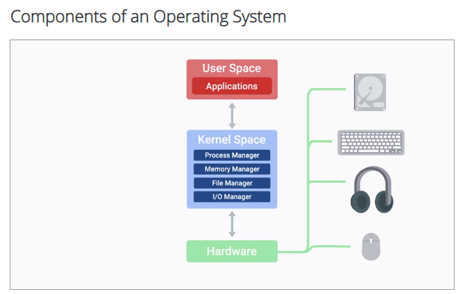 Expect lots of diagrams that break down complex concepts.