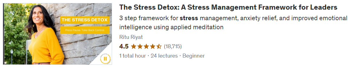 The Stress Detox: Reduce Stress and Burnout In The Workplace (Udemy)