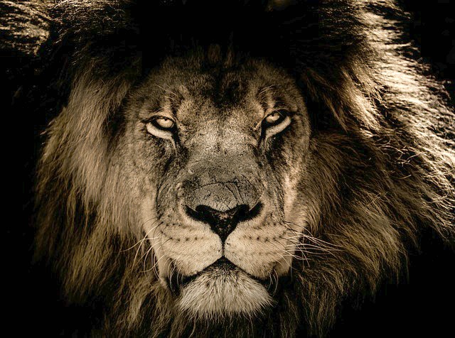 Tips on Dealing With Insecurities