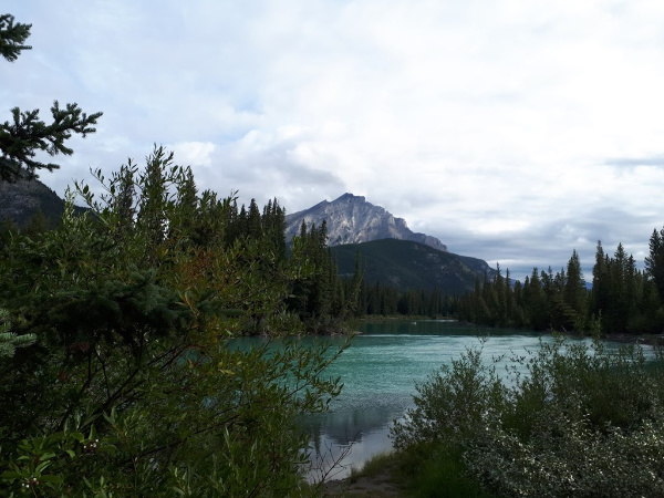 Views of the Bow River.